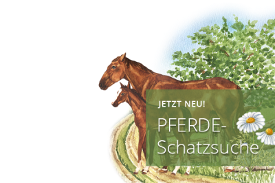 Angebot-Pferde-Schatzsuche_Schnitzeljagd